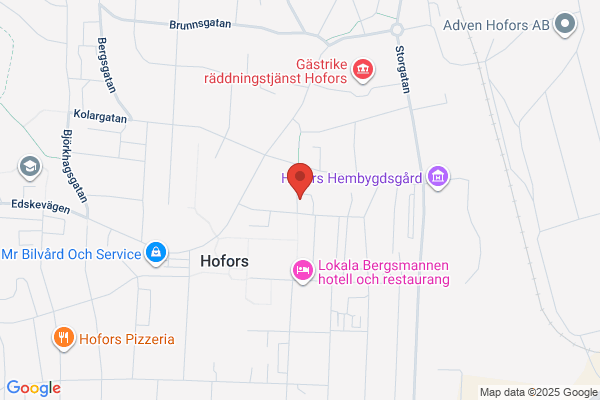 Hofors Allmänna Idrottsförening