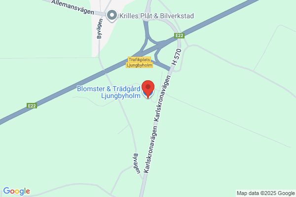 Blomsterdiligensen AB