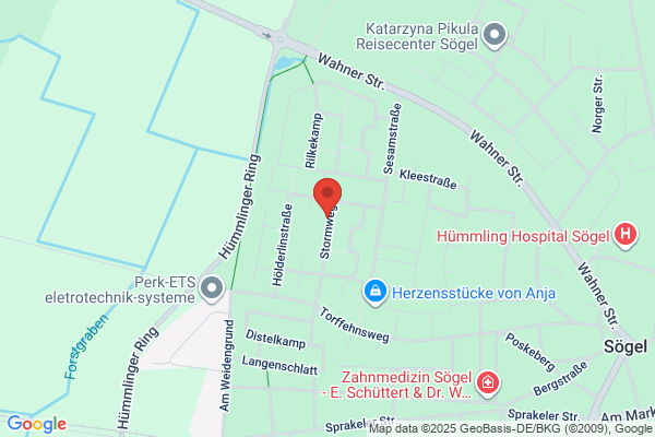 Holms Trädgårdstjänst AB