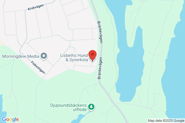 Lisbeths Hund och Syverksta