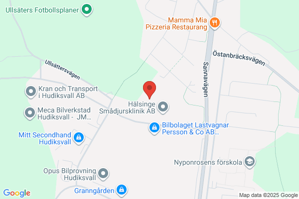 Hudiksvalls Idrottsförening