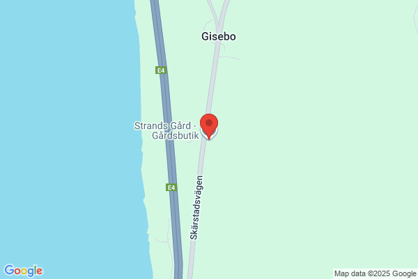 Granstrand, Niclas