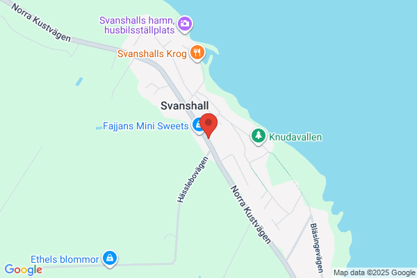 Svandals VVS