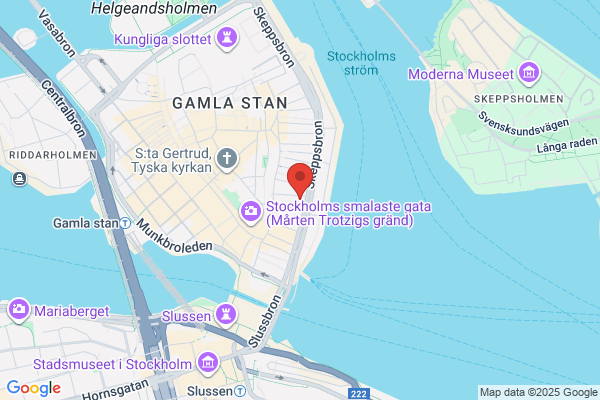 Viggen Svenska Fokus