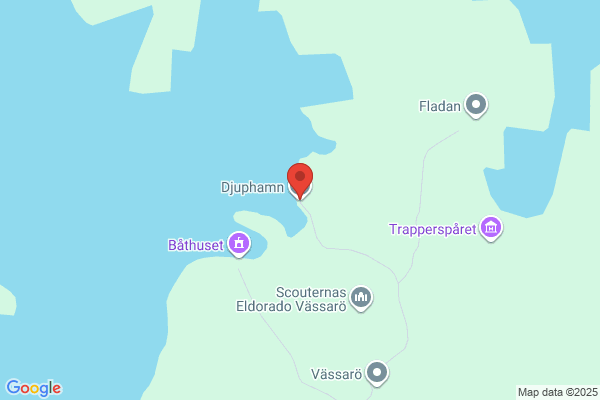 Däckpiraten