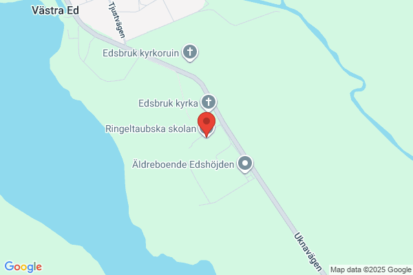 Ringeltaubska Skolan