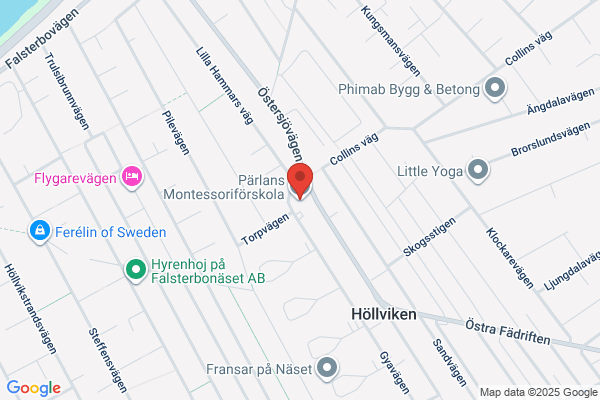Pärlans Montessori (Friskolor)