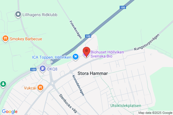 Friska Butiken i Höllviken