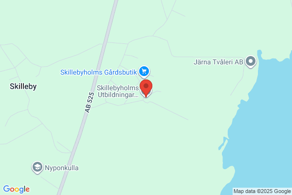 Skillebyholm, Stiftelsen