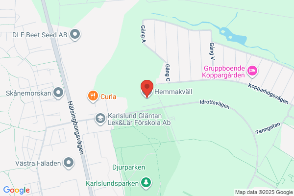 Hemmakväll
