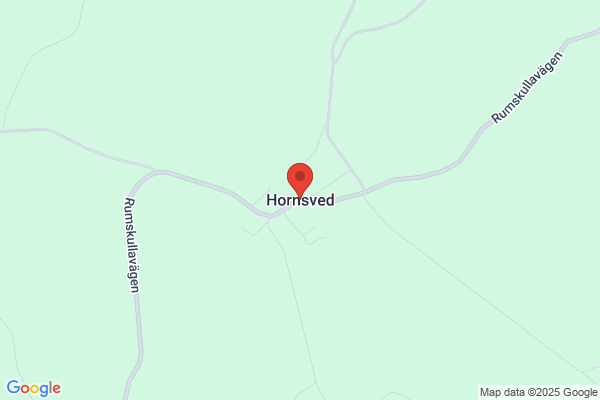 Hornsved Hemelektronik