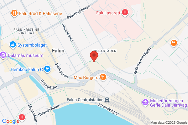 Assistans i Falun
