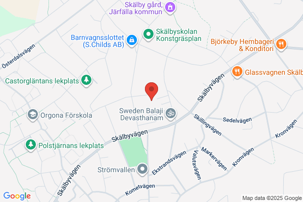 UFO-Sverige, Riksorganisation