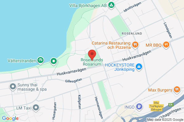 Överdomaren