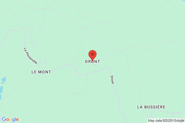 Dront