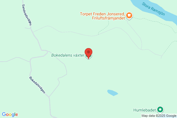 Bokedalens Måleri & Hantverk