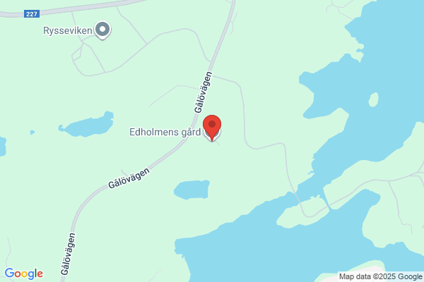 Edsholm, Christer