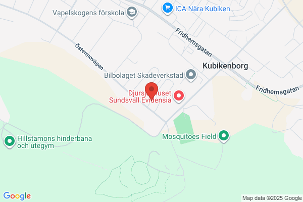RENTAV Städ och Miljövård AB