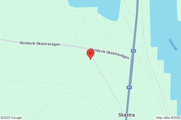 Lundins Blommor och Bär