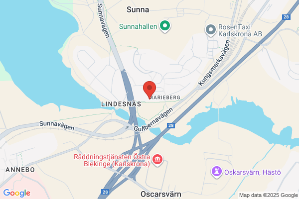 Remaljeringsbolaget