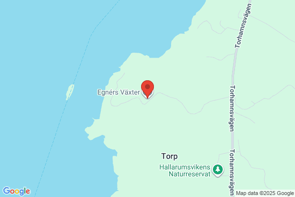 Egnérs Prydnadsväxter