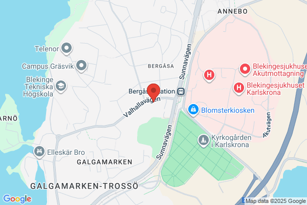 Pizzeria Bergåsa