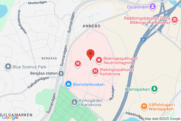 Psykiatrisk intensivvårdsavd, PIVA (Psykiatri)