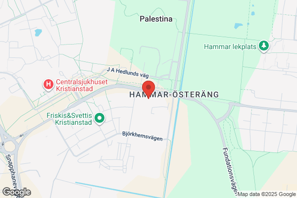 Oscarssons Handelsträdgård