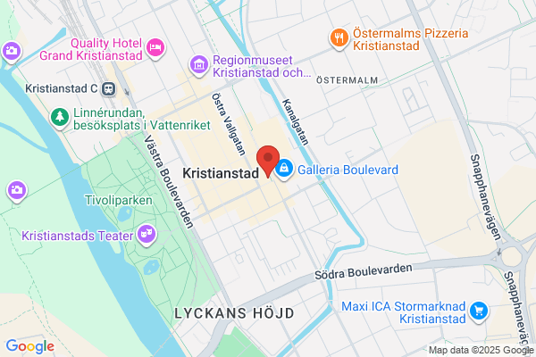 Lejonskolan