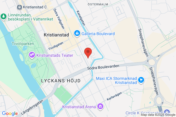 Christian 4:s Gymnasium (Gymnasieskolor)