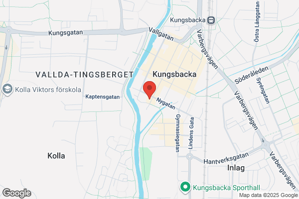 Enhörningen