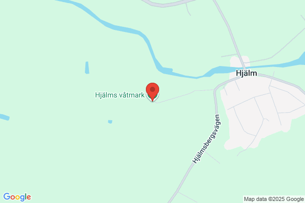 Hval, Niclas