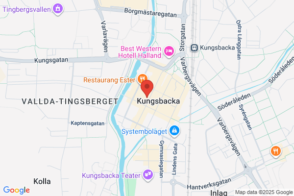 Pizza Kungen