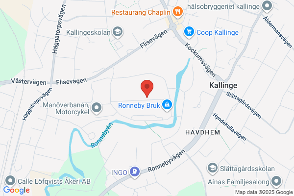 Blomstermera i Ronneby AB