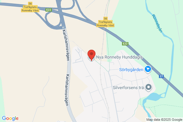 Ronneby Hunddagis