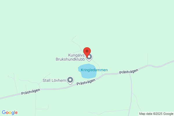 Konsultbyrån i Borås