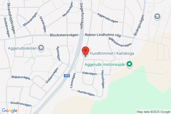 Hundtrimmet i Karlskoga