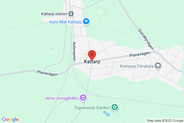 Björktrasten