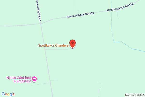 Olanders Spettkakor