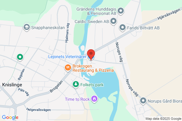 Lejonets Veterinärer