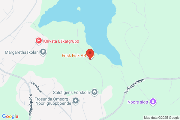 Ekonomi Ordning & Reda Pl AB