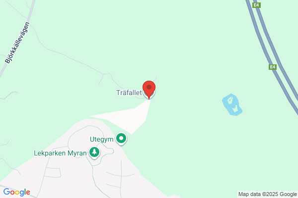 Träfallet AB