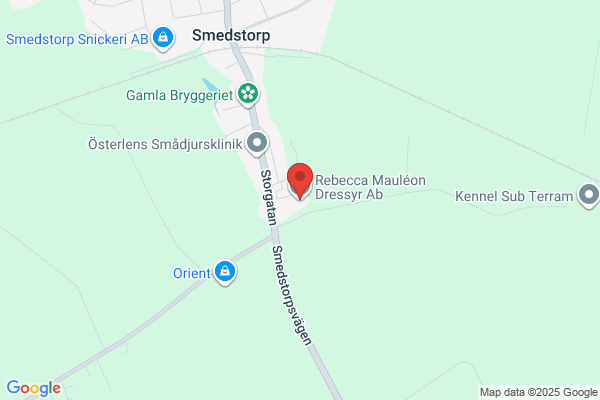 Stall Smedstorp Åsa Stern