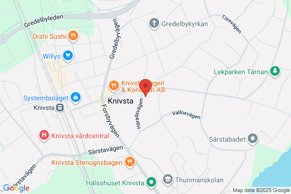 Hästdoktorn i Sverige/Veterinär Gittan Gröndahl