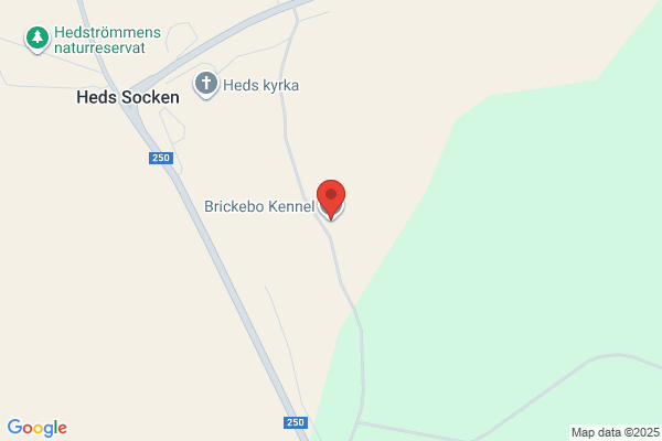 Brickebo Vård o. Utbildning