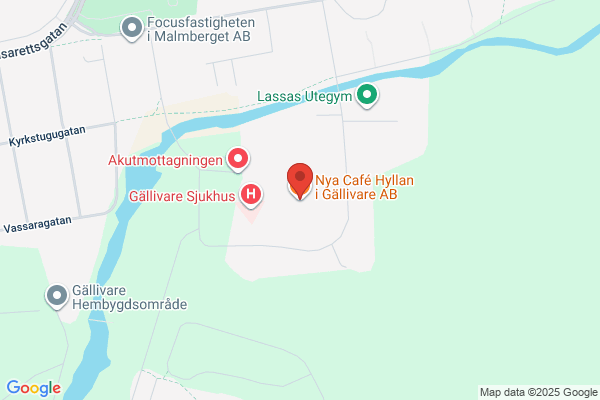 Cafe Vingen Gällivare