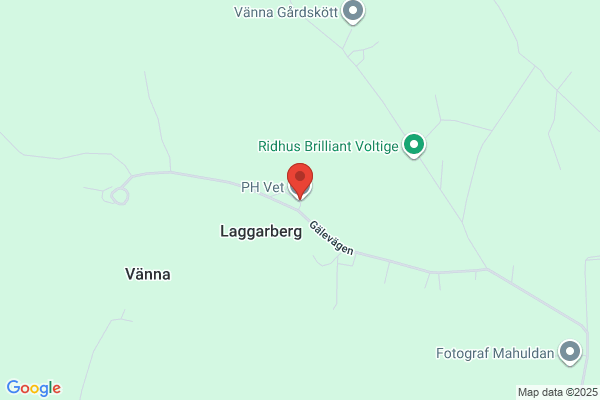 PH Vet