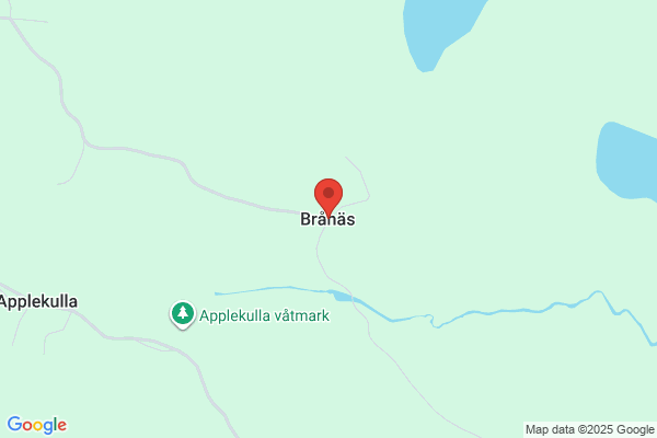 Suihko, Inger