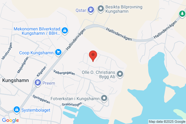 Ljungqvists Måleri, Bröderna