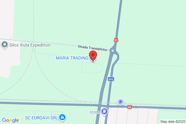 Maria Wall Trading & Consulting